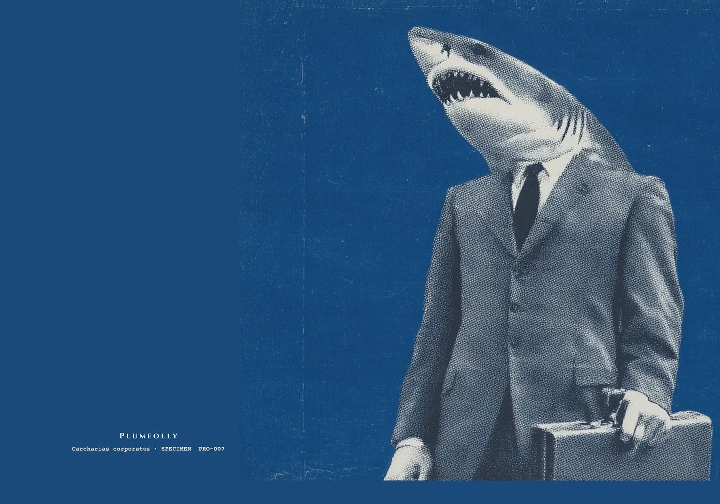 PRO-007 - The Shark