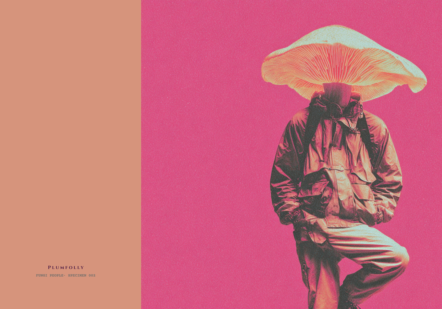 Specimen 002 of the Fungi People collection - Blank