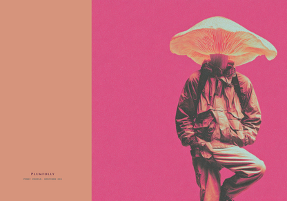 Specimen 002 of the Fungi People collection - Blank