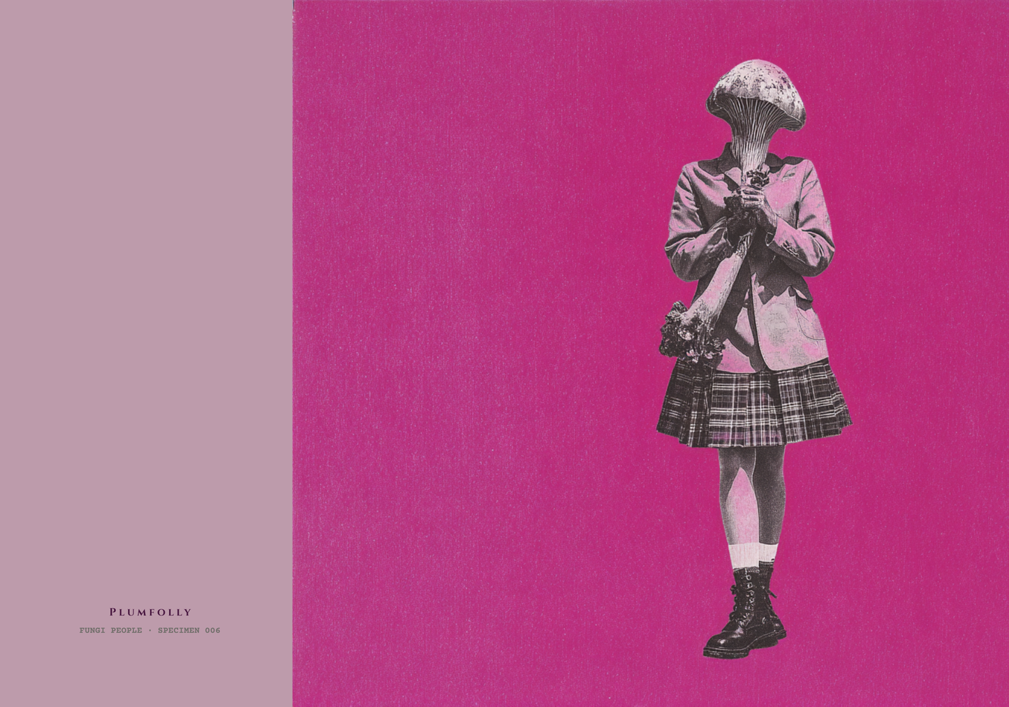 F- 006  - The Velvet Shank Scholar