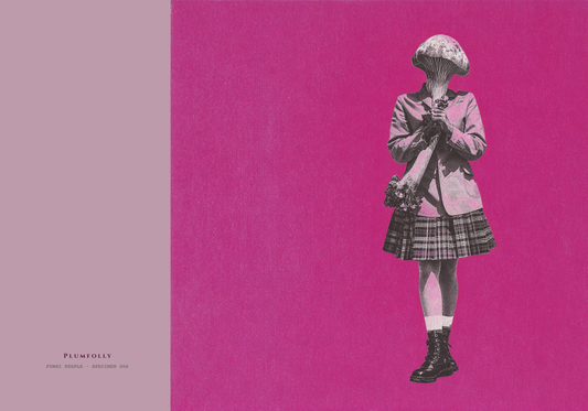 Specimen 006 of the Fungi People collection - Blank