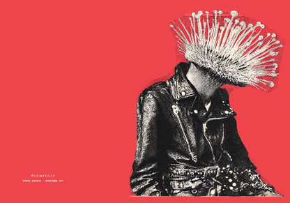 Specimen 007 of the Fungi People collection - Blank