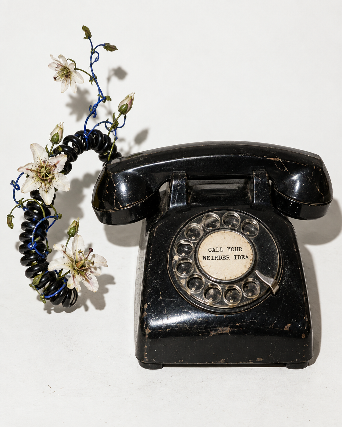 Black rotary telephone with flowers in the cord, its dial lettered CALL YOUR WEIRDER IDEA